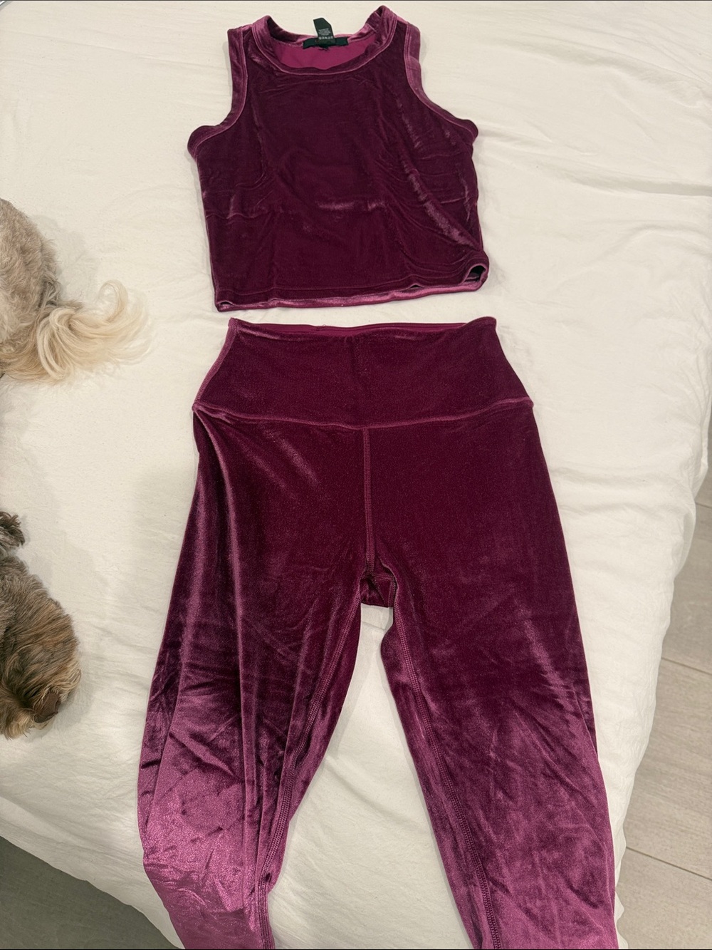 Greyson Velvet Crop Tank & High-Waist Leggings Set - Plum